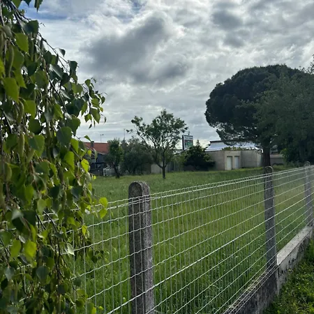 Tant-guo Bella Konukevi Toulouse